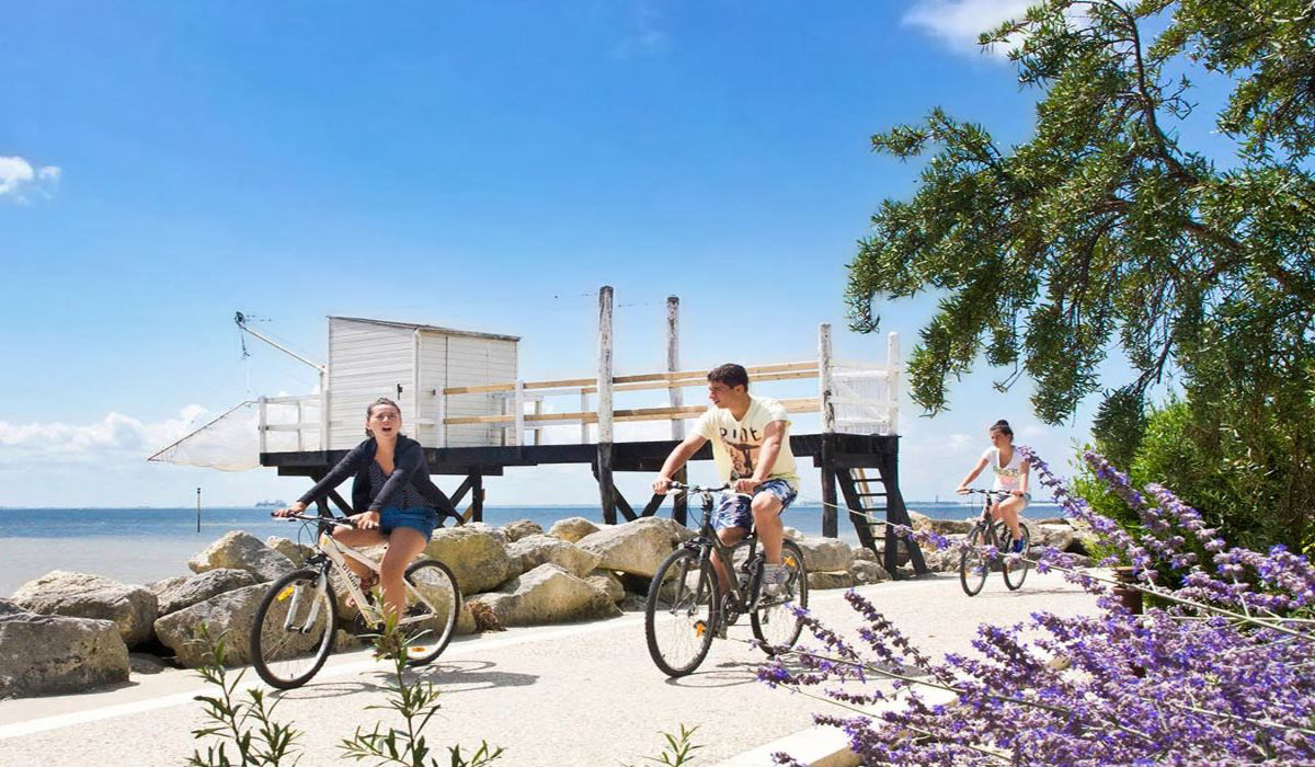 Bois Soleil Poitou-Charentes - Saint-Georges-de-Didonne visuel 3/9 Bois Soleil Poitou-Charentes - Saint-Georges-de-Didonne visuel 3/9