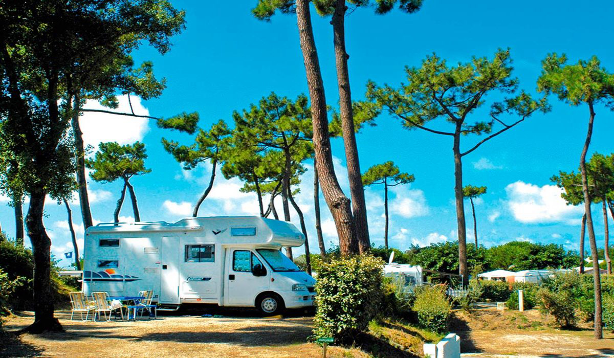 Bois Soleil Poitou-Charentes - Saint-Georges-de-Didonne visuel 6/9 Bois Soleil Poitou-Charentes - Saint-Georges-de-Didonne visuel 6/9