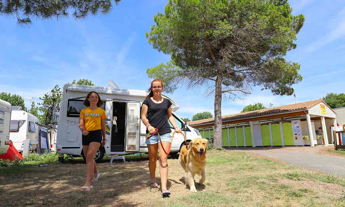 Campéole Pontaillac Plage Poitou-Charentes - Royan visuel 15/32 Campéole Pontaillac Plage Poitou-Charentes - Royan visuel 15/32