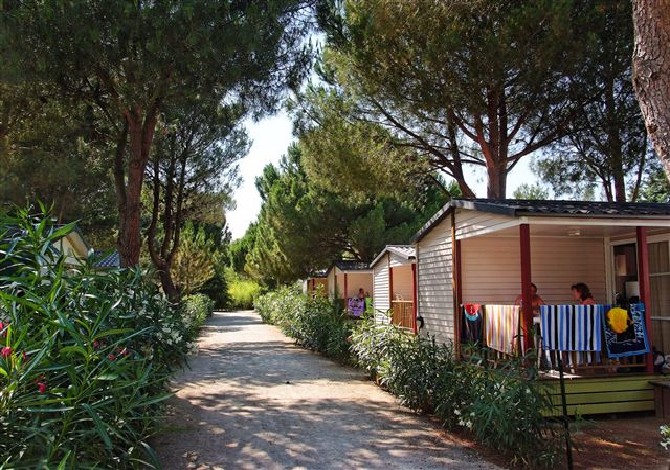 Domaine de la Pinède Enchantée Languedoc-Roussillon - Argelès-sur-Mer visuel 7/8 Domaine de la Pinède Enchantée Languedoc-Roussillon - Argelès-sur-Mer visuel 7/8