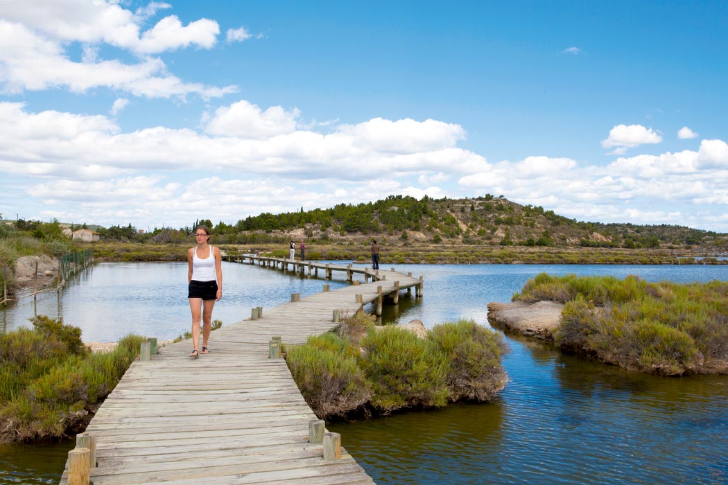 Ensoya Languedoc-Roussillon - Sigean visuel 2/7 Ensoya Languedoc-Roussillon - Sigean visuel 2/7
