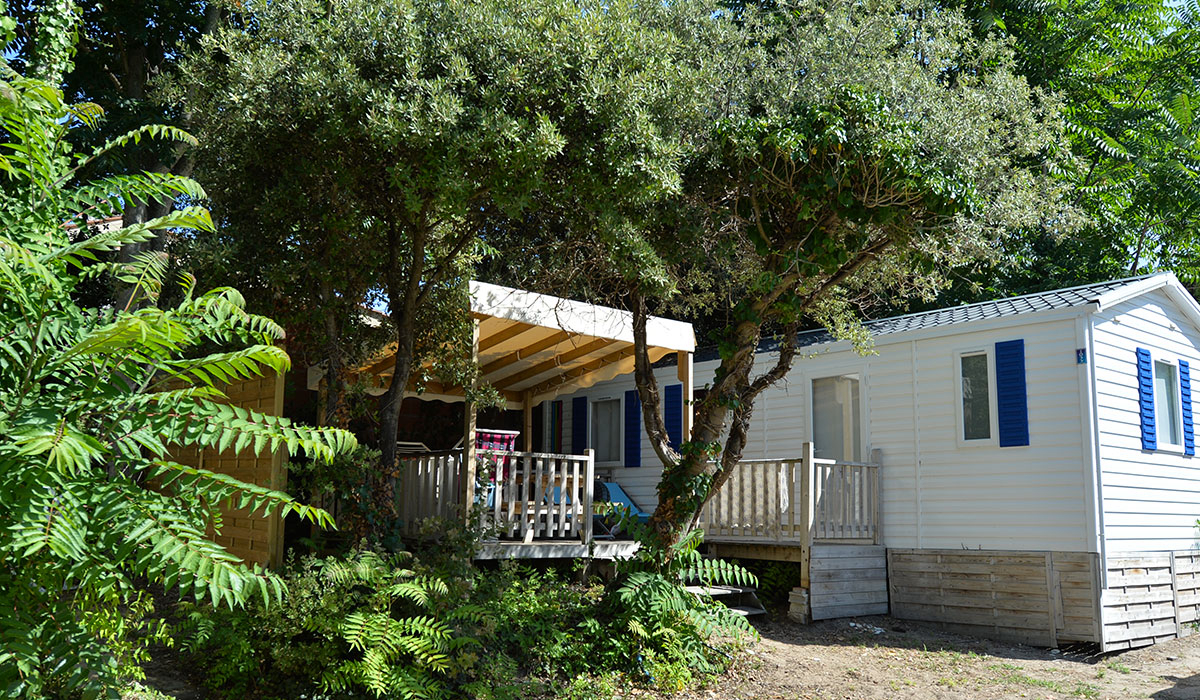 L'Anse des Pins Poitou-Charentes - Saint-Georges-d'Oléron visuel 9/15 L'Anse des Pins Poitou-Charentes - Saint-Georges-d'Oléron visuel 9/15