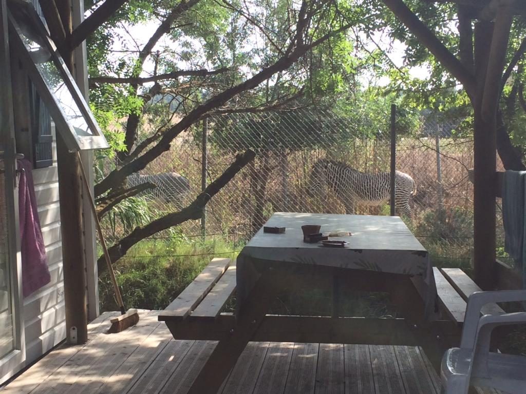 La Grange Neuve Languedoc-Roussillon - Sigean visuel 6/8 La Grange Neuve Languedoc-Roussillon - Sigean visuel 6/8