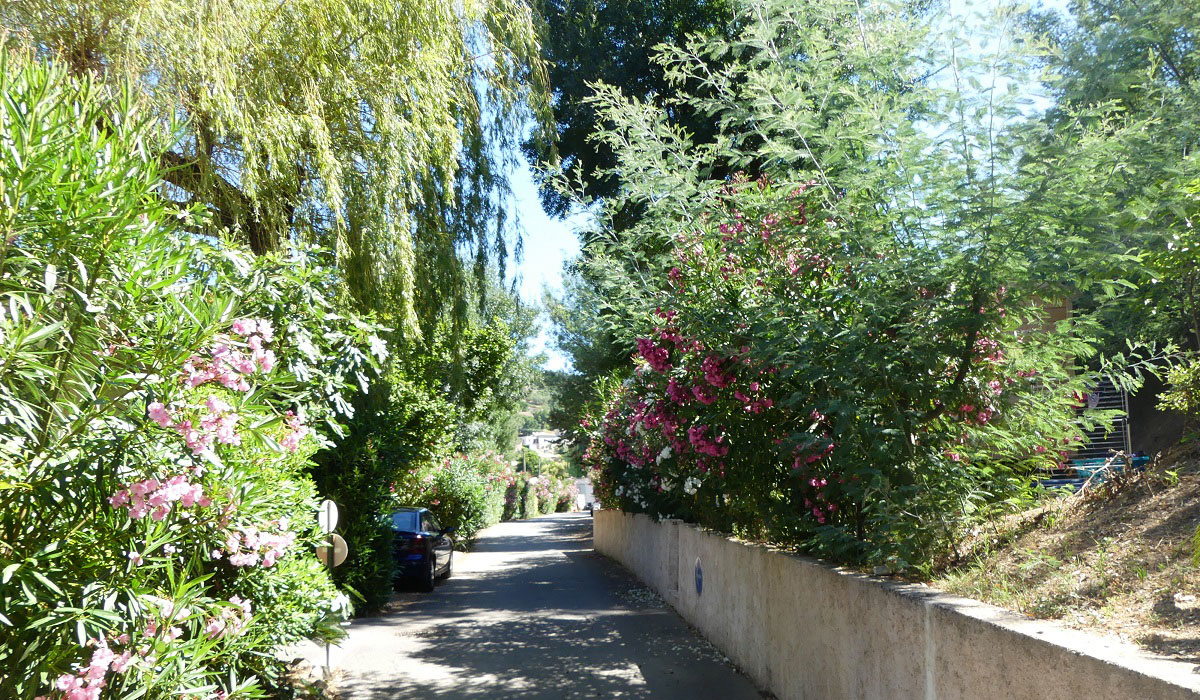 Le Parc des Monges Provence-Alpes-Côte d'Azur - Auribeau-sur-Siagne visuel 12/27 Le Parc des Monges Provence-Alpes-Côte d'Azur - Auribeau-sur-Siagne visuel 12/27