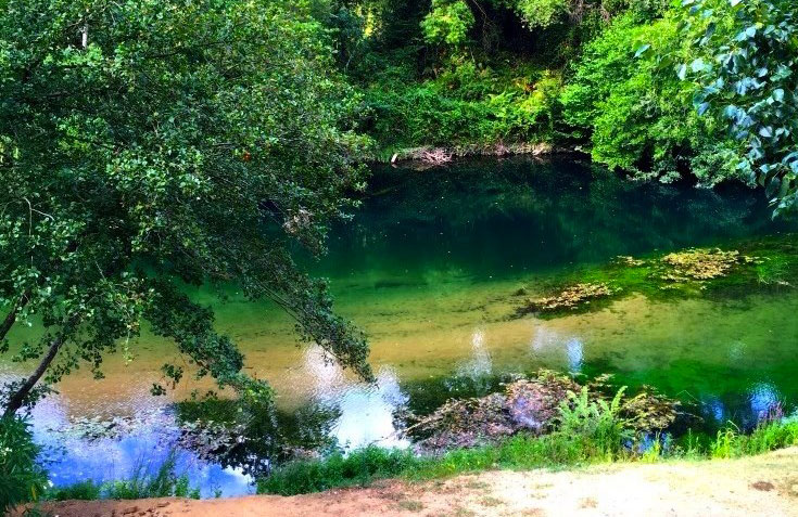 Le Parc des Monges Provence-Alpes-Côte d'Azur - Auribeau-sur-Siagne visuel 24/27 Le Parc des Monges Provence-Alpes-Côte d'Azur - Auribeau-sur-Siagne visuel 24/27