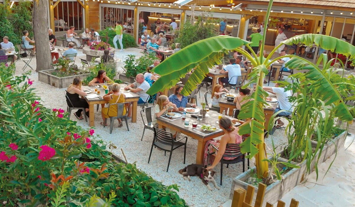 Le Soleil Languedoc-Roussillon - Argelès-sur-Mer visuel 5/11 Le Soleil Languedoc-Roussillon - Argelès-sur-Mer visuel 5/11