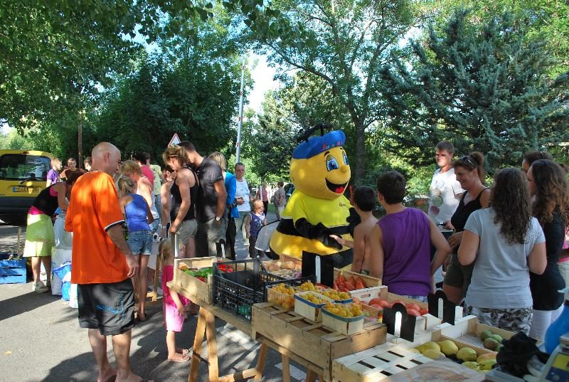 Alpes Dauphiné Provence-Alpes-Côte d'Azur - Gap visuel 10/10 Alpes Dauphiné Provence-Alpes-Côte d'Azur - Gap visuel 10/10