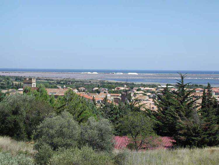 Domaine de la Palme Languedoc-Roussillon - La Palme visuel 9/10 Domaine de la Palme Languedoc-Roussillon - La Palme visuel 9/10