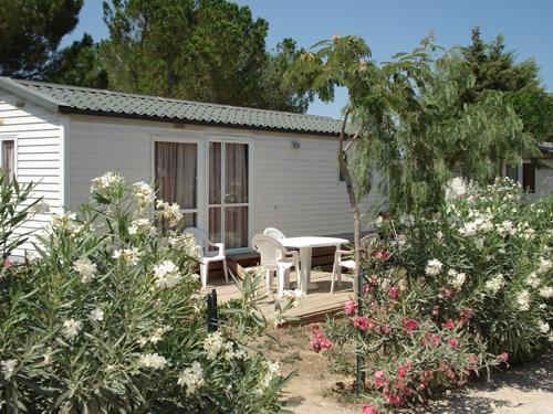 Domaine de la Pinède Enchantée Languedoc-Roussillon - Argelès-sur-Mer visuel 4/8 Domaine de la Pinède Enchantée Languedoc-Roussillon - Argelès-sur-Mer visuel 4/8