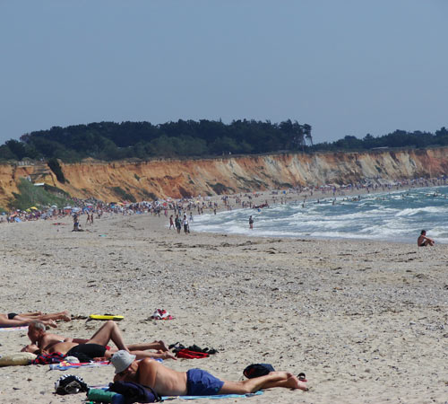 Domaine de Pont-Mahé Das Loire-Gebiet - Assérac visuel 5/10 Domaine de Pont-Mahé Das Loire-Gebiet - Assérac visuel 5/10