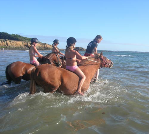 Domaine de Pont-Mahé Das Loire-Gebiet - Assérac visuel 6/10 Domaine de Pont-Mahé Das Loire-Gebiet - Assérac visuel 6/10