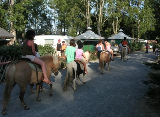 Domaine de Pont-Mahé Das Loire-Gebiet - Assérac visuel 9/10 Domaine de Pont-Mahé Das Loire-Gebiet - Assérac visuel 9/10