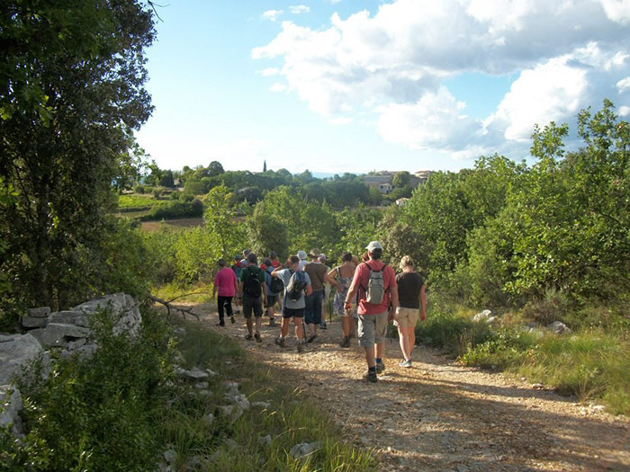 Domaine le Clos des Capitelles Languedoc-Roussillon - Saint-Privat-de-Champclos visuel 3/11 Domaine le Clos des Capitelles Languedoc-Roussillon - Saint-Privat-de-Champclos visuel 3/11