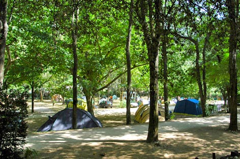 Camping du Pont d'Arc Rhône-Alpen - Vallon-Pont-d'Arc visuel 3/5 Camping du Pont d'Arc Rhône-Alpen - Vallon-Pont-d'Arc visuel 3/5