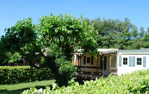 La Combe Languedoc-Roussillon - Barjac visuel 4/5 La Combe Languedoc-Roussillon - Barjac visuel 4/5