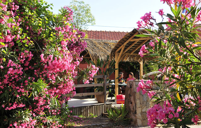 La Croix du Sud Provence-Alpes-Côte d'Azur - Ramatuelle visuel 6/10 La Croix du Sud Provence-Alpes-Côte d'Azur - Ramatuelle visuel 6/10