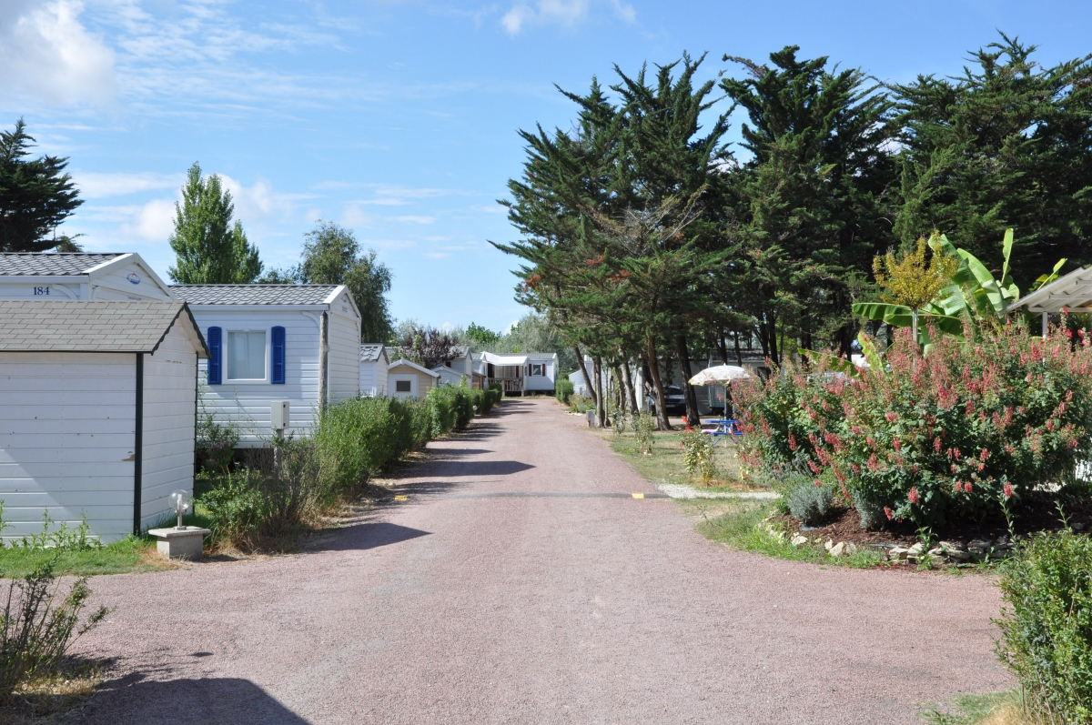 La Maurie Poitou-Charentes - Saint-Georges-d'Oléron visuel 5/5 La Maurie Poitou-Charentes - Saint-Georges-d'Oléron visuel 5/5