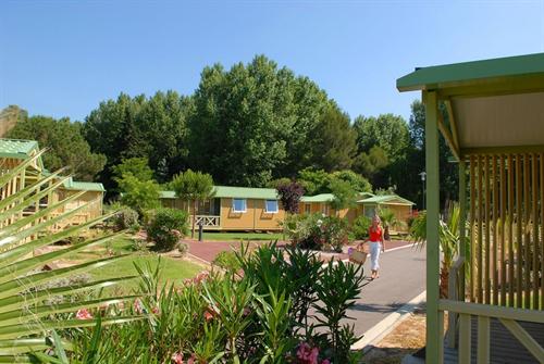 Le Bosc d'en Roug Languedoc-Roussillon - Saint-Cyprien visuel 12/14 Le Bosc d'en Roug Languedoc-Roussillon - Saint-Cyprien visuel 12/14