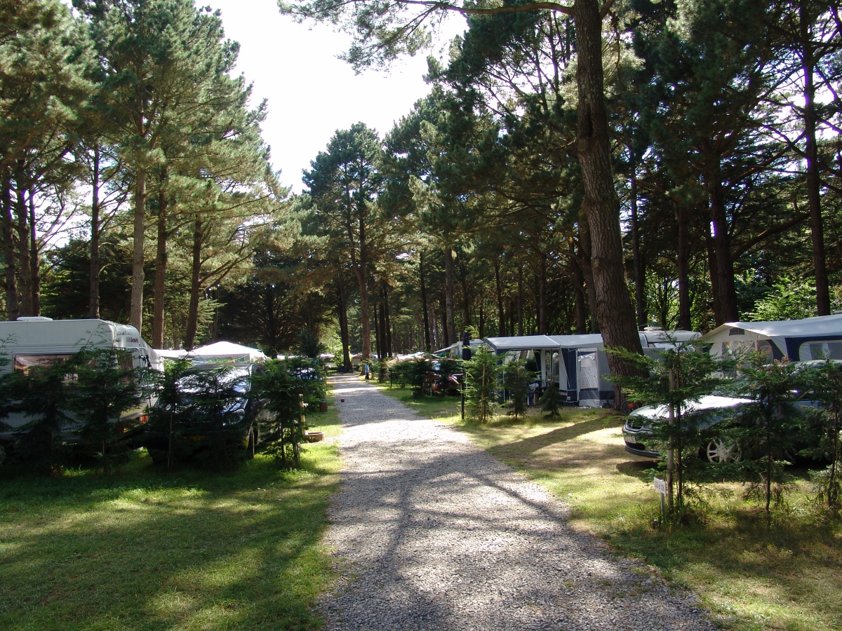 Le Château du Petit Bois Das Loire-Gebiet - Mesquer visuel 2/4 Le Château du Petit Bois Das Loire-Gebiet - Mesquer visuel 2/4