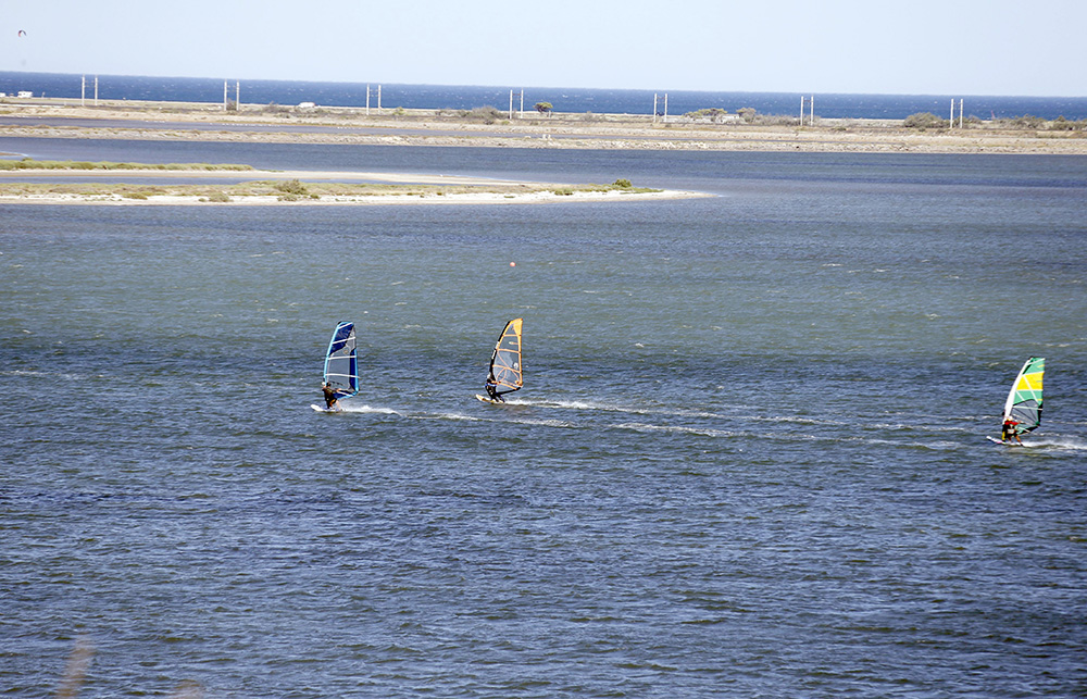 Le Clapotis Domaine Naturiste - Languedoc-Roussillon - La Palme visuel 5/7 Le Clapotis Domaine Naturiste - Languedoc-Roussillon - La Palme visuel 5/7