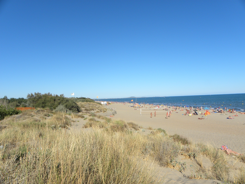 Le Clos de la Grangette Languedoc-Roussillon - Sérignan visuel 7/10 Le Clos de la Grangette Languedoc-Roussillon - Sérignan visuel 7/10