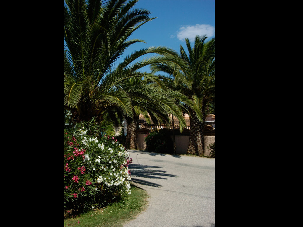 Le Village Del Mar Languedoc-Roussillon - Argelès-sur-Mer visuel 7/11 Le Village Del Mar Languedoc-Roussillon - Argelès-sur-Mer visuel 7/11