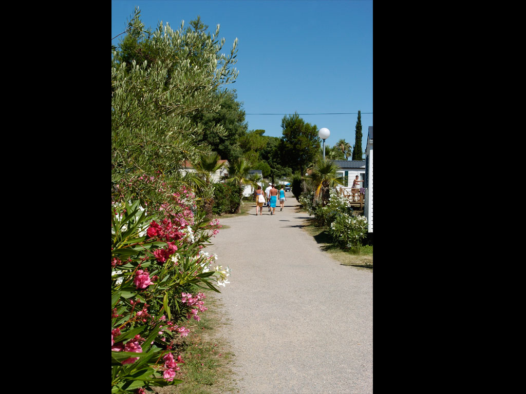 Le Village Del Mar Languedoc-Roussillon - Argelès-sur-Mer visuel 8/11 Le Village Del Mar Languedoc-Roussillon - Argelès-sur-Mer visuel 8/11