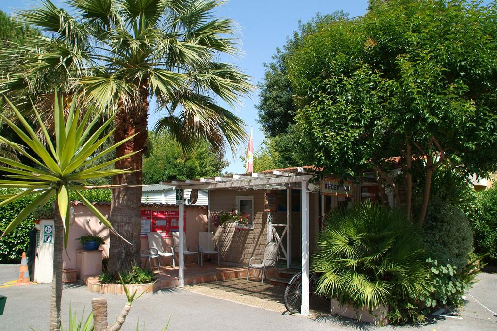 Les Cigales Provence-Alpes-Côte d'Azur - Mandelieu-la-Napoule visuel 4/8 Les Cigales Provence-Alpes-Côte d'Azur - Mandelieu-la-Napoule visuel 4/8