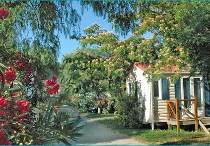 Les Galets Languedoc-Roussillon - Argelès-sur-Mer visuel 5/8 Les Galets Languedoc-Roussillon - Argelès-sur-Mer visuel 5/8