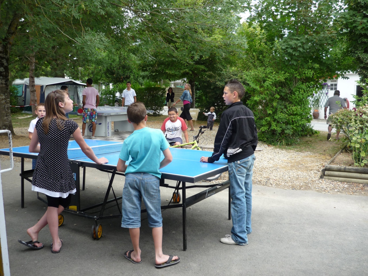 Les Pins Poitou-Charentes - Saint-Palais-sur-Mer visuel 9/11 Les Pins Poitou-Charentes - Saint-Palais-sur-Mer visuel 9/11