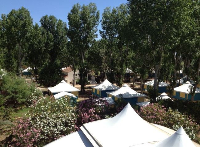 L'Etoile de Mer Languedoc-Roussillon - Sérignan visuel 12/12 L'Etoile de Mer Languedoc-Roussillon - Sérignan visuel 12/12