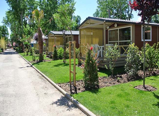 L'Etoile de Mer Languedoc-Roussillon - Sérignan visuel 5/12 L'Etoile de Mer Languedoc-Roussillon - Sérignan visuel 5/12