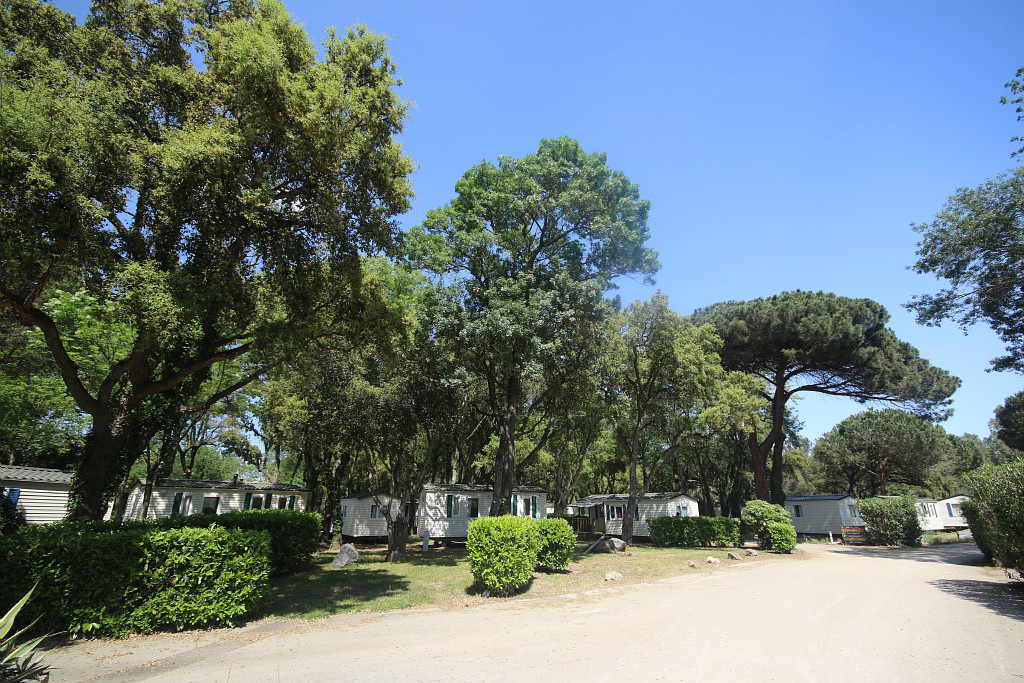 Marina Paradise Provence-Alpes-Côte d'Azur - Cogolin visuel 5/16 Marina Paradise Provence-Alpes-Côte d'Azur - Cogolin visuel 5/16