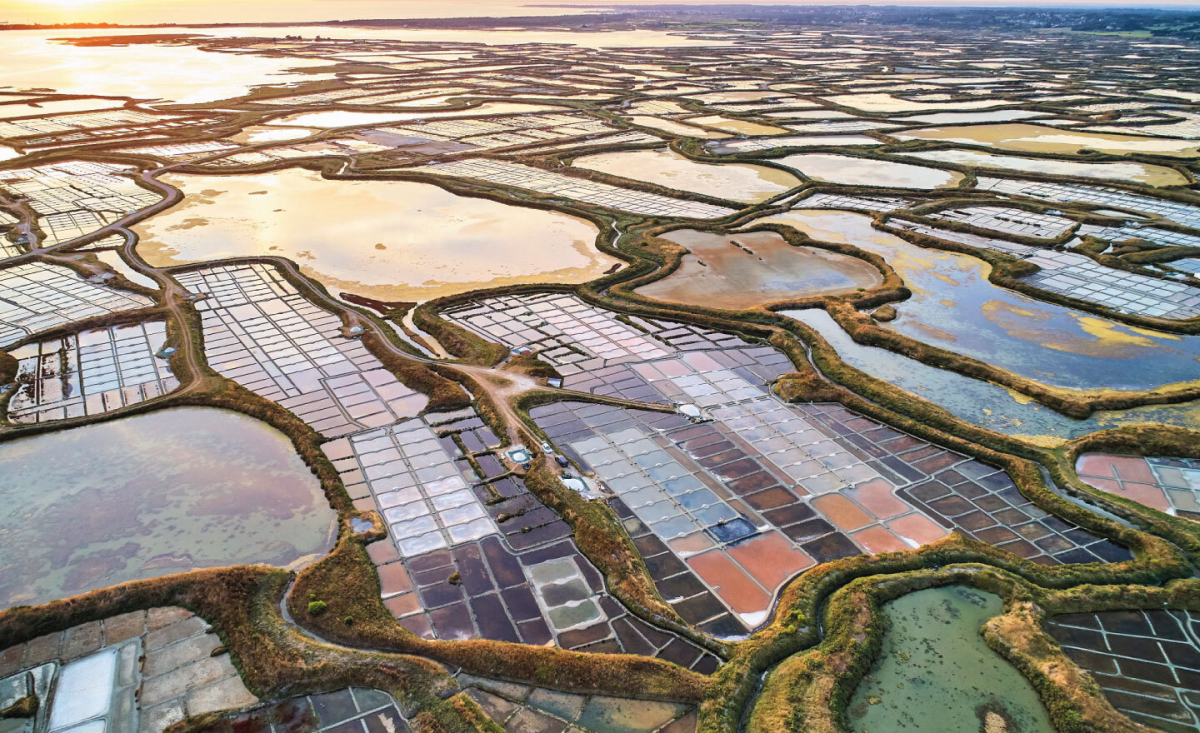 Bois de Bayadène Das Loire-Gebiet - Piriac-sur-Mer visuel 4/10 Bois de Bayadène Das Loire-Gebiet - Piriac-sur-Mer visuel 4/10