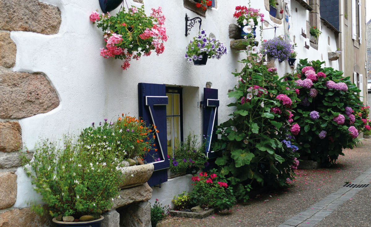 Bois de Bayadène Das Loire-Gebiet - Piriac-sur-Mer visuel 5/10 Bois de Bayadène Das Loire-Gebiet - Piriac-sur-Mer visuel 5/10