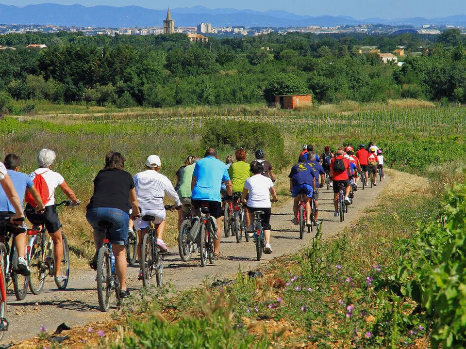 Bleu Marine Languedoc-Roussillon - Sérignan visuel 24/27 Bleu Marine Languedoc-Roussillon - Sérignan visuel 24/27