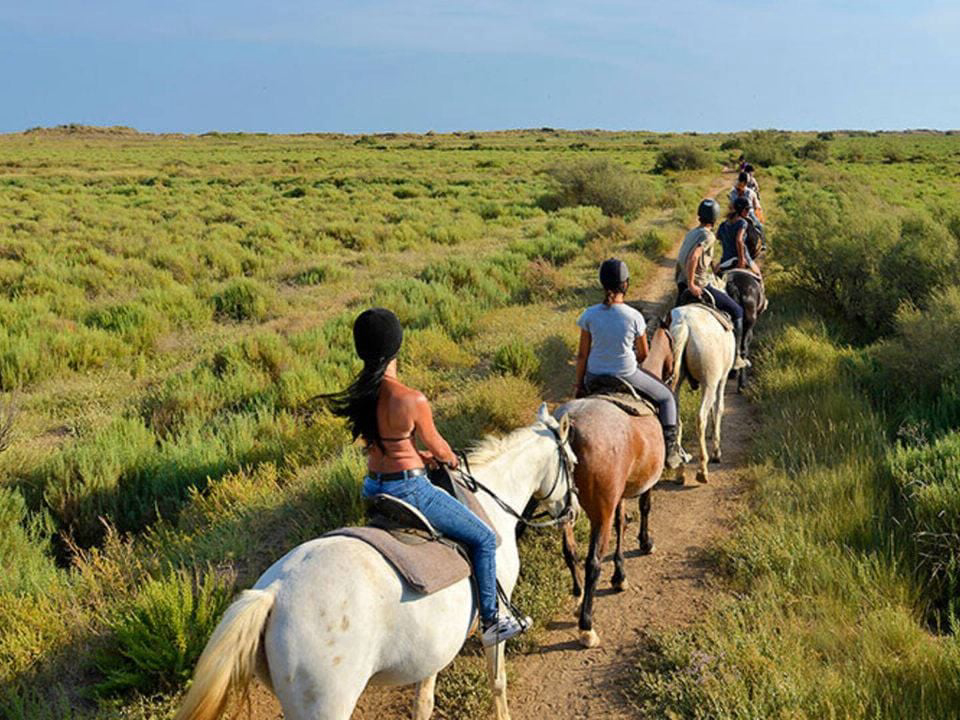 Bleu Marine Languedoc-Roussillon - Sérignan visuel 25/27 Bleu Marine Languedoc-Roussillon - Sérignan visuel 25/27