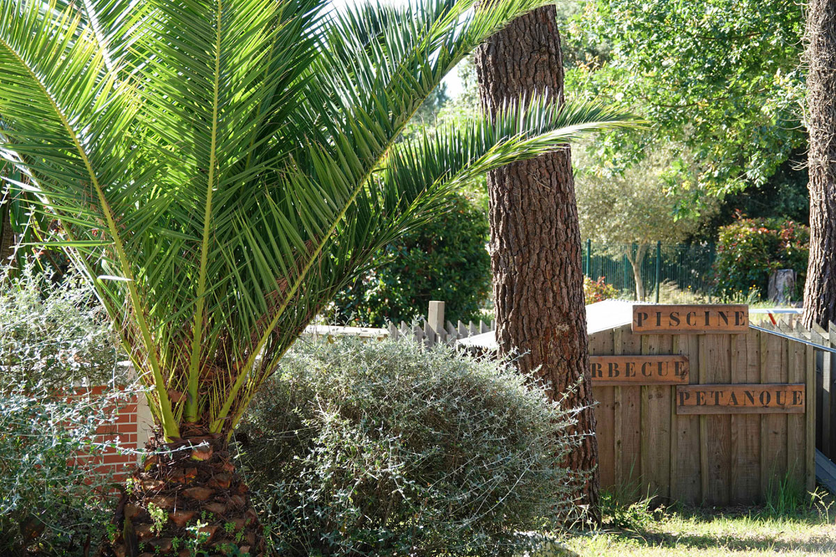 Camping des Pins Aquitanien - Soulac-sur-Mer visuel 7/22 Camping des Pins Aquitanien - Soulac-sur-Mer visuel 7/22