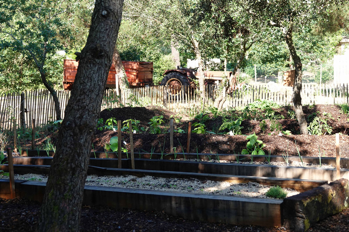 Camping des Pins Aquitanien - Soulac-sur-Mer visuel 20/22 Camping des Pins Aquitanien - Soulac-sur-Mer visuel 20/22