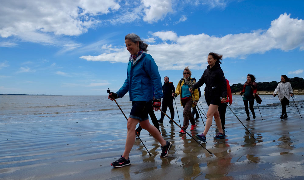 Entre Mer Et Foret Poitou-Charentes - Meschers-sur-Gironde visuel 7/13 Entre Mer Et Foret Poitou-Charentes - Meschers-sur-Gironde visuel 7/13