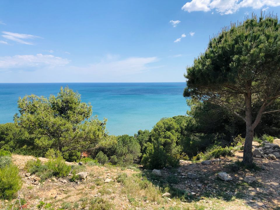 La Grange Neuve Languedoc-Roussillon - Sigean visuel 5/8 La Grange Neuve Languedoc-Roussillon - Sigean visuel 5/8