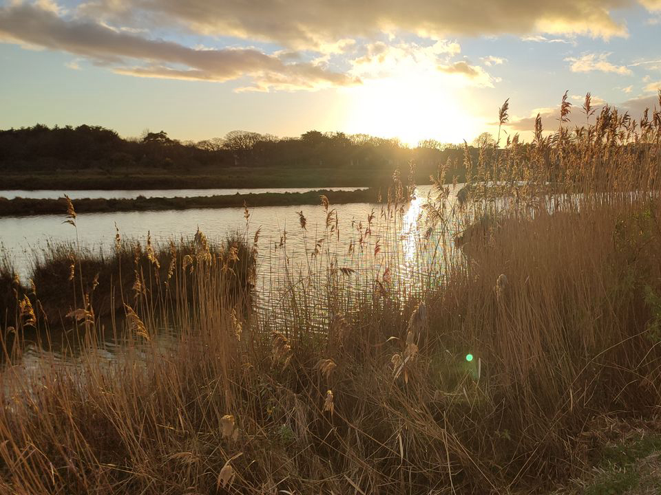 Le Beaupré Das Loire-Gebiet - Mesquer visuel 1/4 Le Beaupré Das Loire-Gebiet - Mesquer visuel 1/4