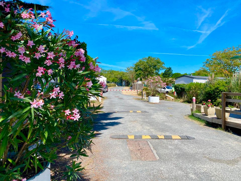 Les Coquettes Poitou-Charentes - Saint-Georges-d'Oléron visuel 2/6 Les Coquettes Poitou-Charentes - Saint-Georges-d'Oléron visuel 2/6