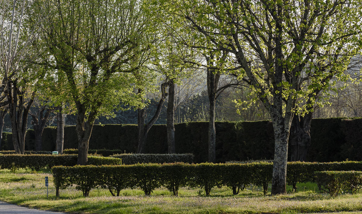 Rives d'Arc Rhône-Alpen - Vallon-Pont-d'Arc visuel 17/19 Rives d'Arc Rhône-Alpen - Vallon-Pont-d'Arc visuel 17/19