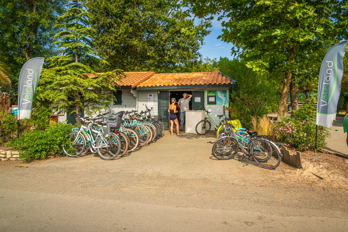 Oléron Loisirs Poitou-Charentes - Saint-Georges-d'Oléron visuel 19/39 Oléron Loisirs Poitou-Charentes - Saint-Georges-d'Oléron visuel 19/39