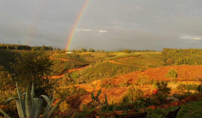 Camping Casas Novas da Palmeira - São Teotónio